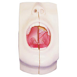 LM1106 ǻģ