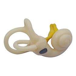 LM1184 ڶ·