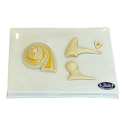 LM1187 ڶСǼĤŴ