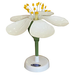 LM3014 ƻģ